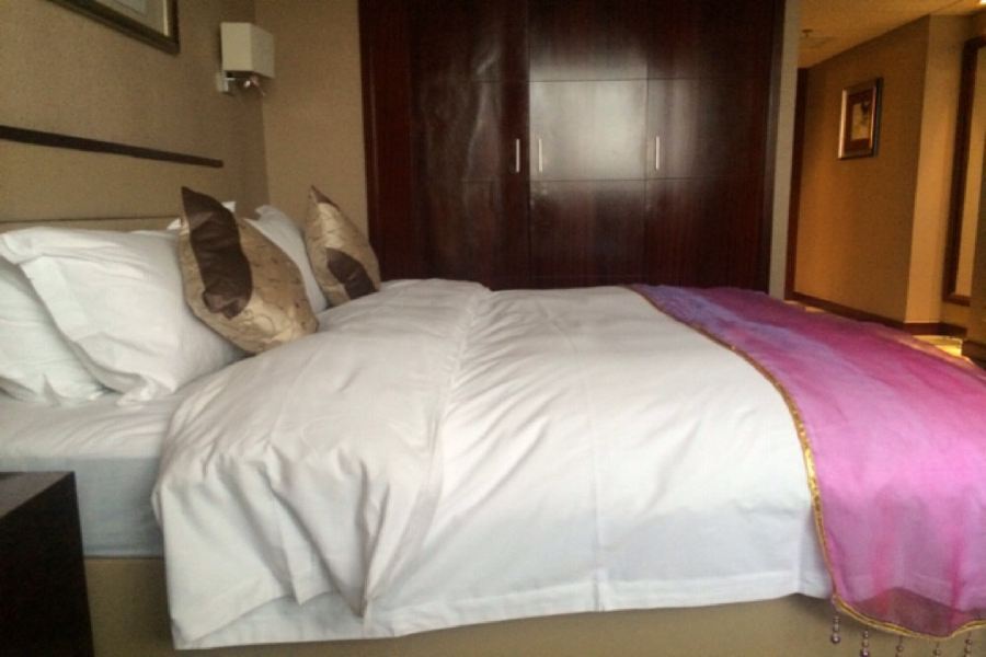 Arcadia International Hotel Cangzhou Εξωτερικό φωτογραφία